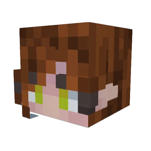 ShadowSeekerOC Minecraft avatar head, 3D render