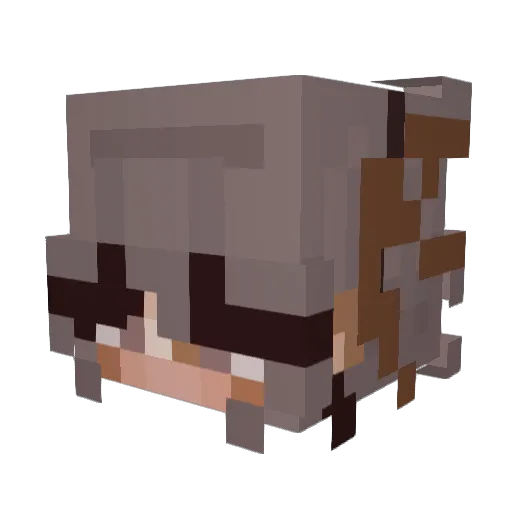 ShadowShoreZ Minecraft avatar head, 3D render