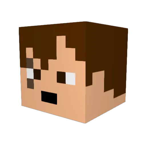 ShadowSlayerBG Minecraft avatar head, 3D render