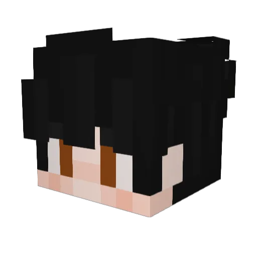 ShadowSolarr Minecraft avatar head, 3D render
