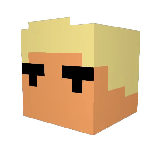 ShadowSt0rm117 Minecraft avatar head, 3D render