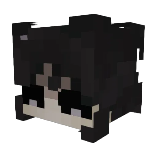 ShadowStar4343 Minecraft avatar head, 3D render