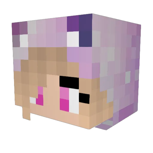 ShadowStar4 Minecraft avatar head, 3D render