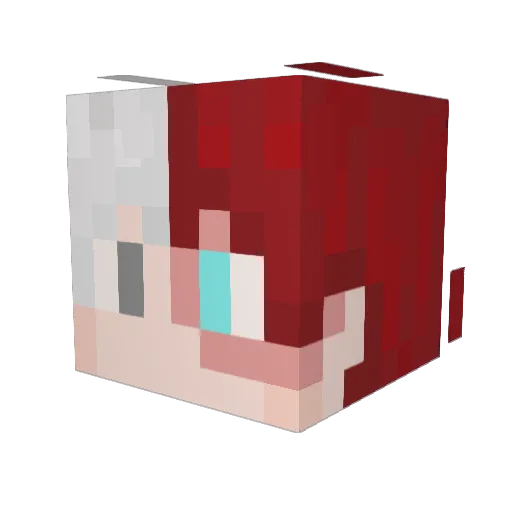 ShadowSteak Minecraft avatar head, 3D render