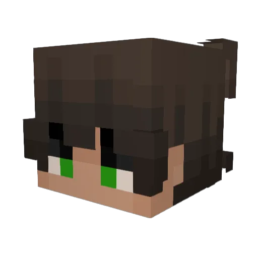 ShadowStrik3r Minecraft avatar head, 3D render