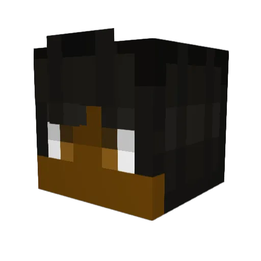 ShadowStrike87 Minecraft avatar head, 3D render