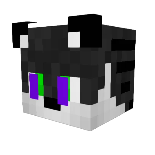ShadowTiger8693 Minecraft avatar head, 3D render