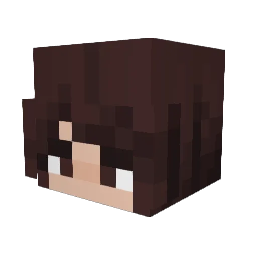 ShadowWaker Minecraft avatar head, 3D render
