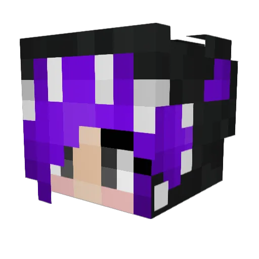 ShadowWalker1201 Minecraft avatar head, 3D render