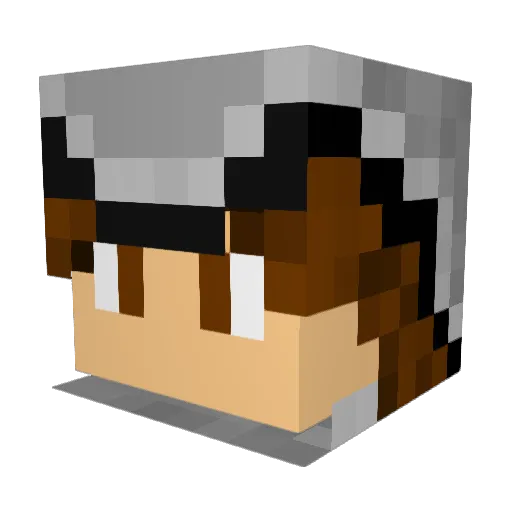 ShadowWalkerr Minecraft avatar head, 3D render