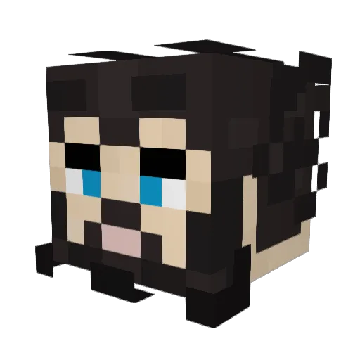 ShadowWarriorSW Minecraft avatar head, 3D render