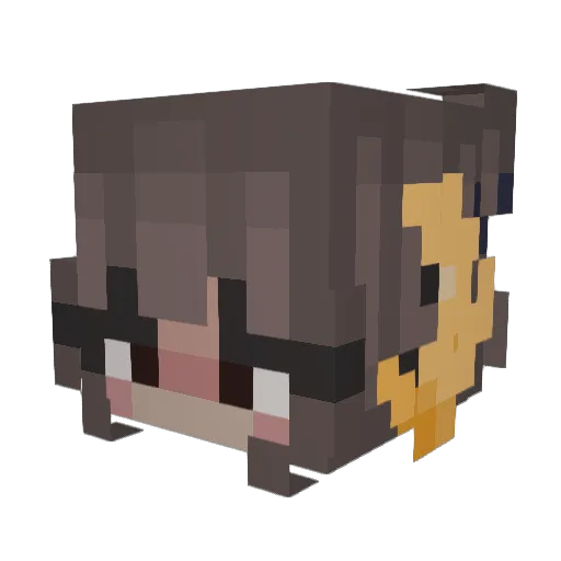 ShadowWave63 Minecraft avatar head, 3D render