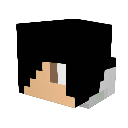 ShadowWingXx Minecraft avatar head, 3D render