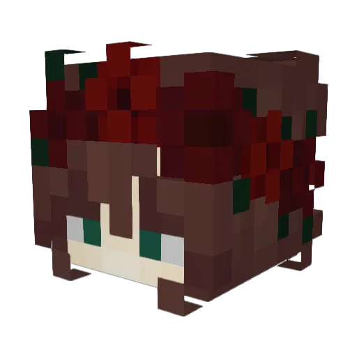ShadowWolf1223 Minecraft avatar head, 3D render