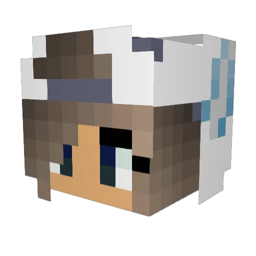 ShadowWolf13111 Minecraft avatar head, 3D render