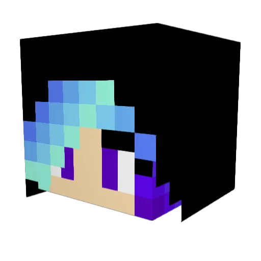 ShadowWolf1712 Minecraft avatar head, 3D render