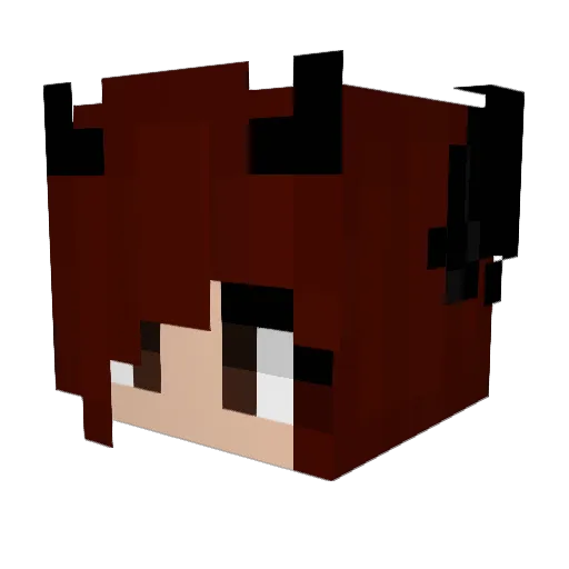 ShadowWolf2289 Minecraft avatar head, 3D render