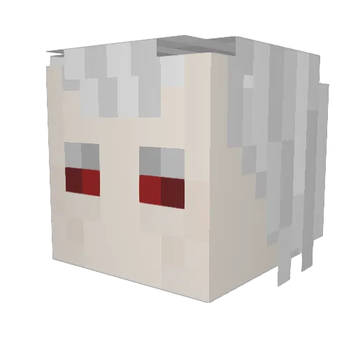 ShadowWolf5144 Minecraft avatar head, 3D render