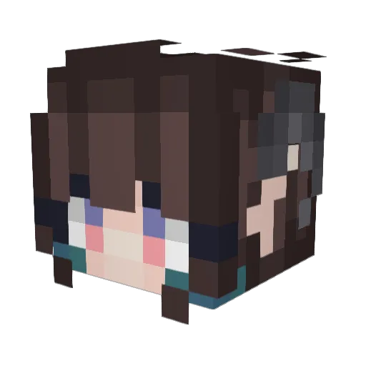 ShadowWolf7809 Minecraft avatar head, 3D render