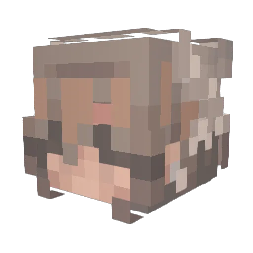 ShadowWolf9821 Minecraft avatar head, 3D render