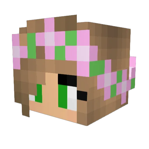 ShadowWolves895 Minecraft avatar head, 3D render
