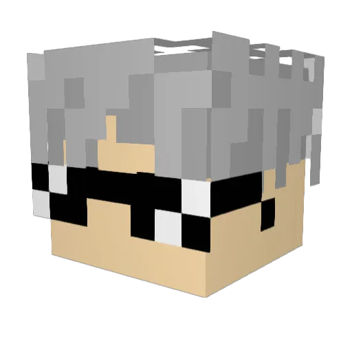 ShadowX200 Minecraft avatar head, 3D render