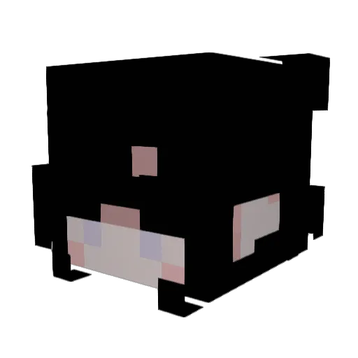 ShadowX51 Minecraft avatar head, 3D render