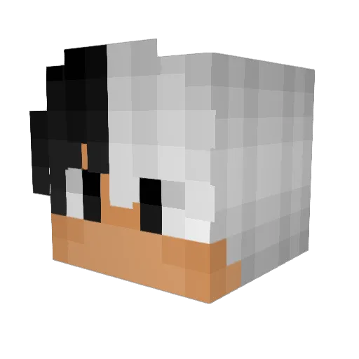 ShadowZ20x Minecraft avatar head, 3D render