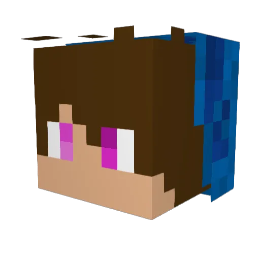Shadow_101206 Minecraft avatar head, 3D render