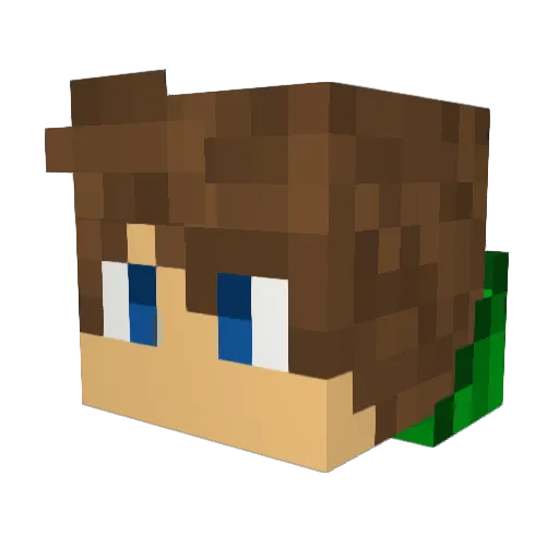 Shadow_777_ Minecraft avatar head, 3D render