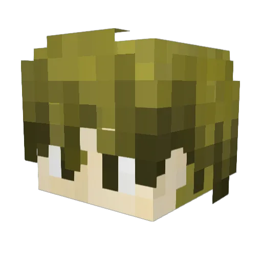 Shadow_Biker Minecraft avatar head, 3D render