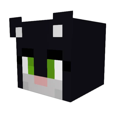 Shadow_Cat33 Minecraft avatar head, 3D render
