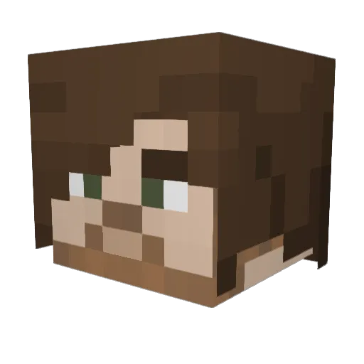 Shadow_Leon Minecraft avatar head, 3D render