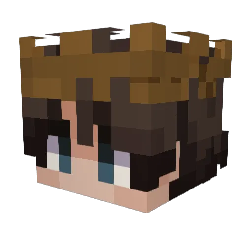 Shadow_Lg_ Minecraft avatar head, 3D render
