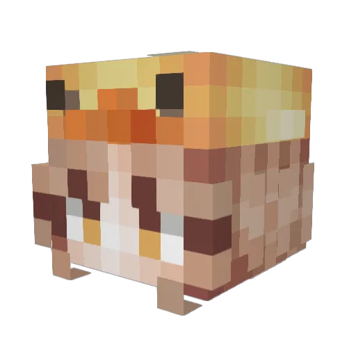 Shadow_MW23 Minecraft avatar head, 3D render