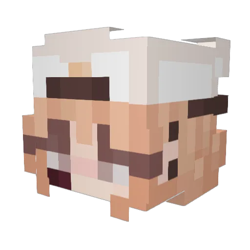 Shadow_Noob Minecraft avatar head, 3D render