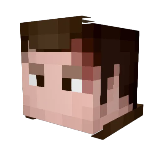 Shadow_RUN Minecraft avatar head, 3D render