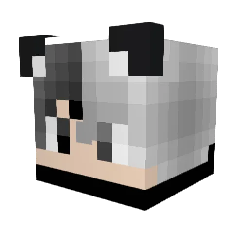 Shadow_Sck Minecraft avatar head, 3D render
