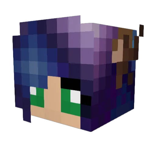 Shadow_Whisper Minecraft avatar head, 3D render
