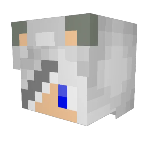 Shadow_Wolf258 Minecraft avatar head, 3D render