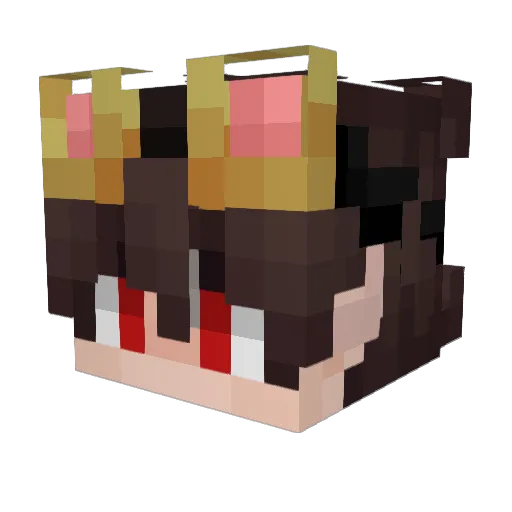 Shadow_Wolf505 Minecraft avatar head, 3D render