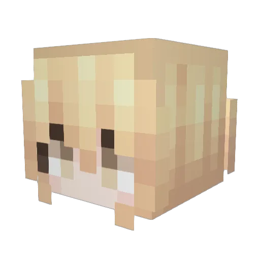 Shadow__001 Minecraft avatar head, 3D render