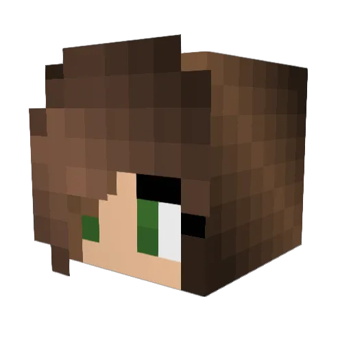Shadow_bell Minecraft avatar head, 3D render