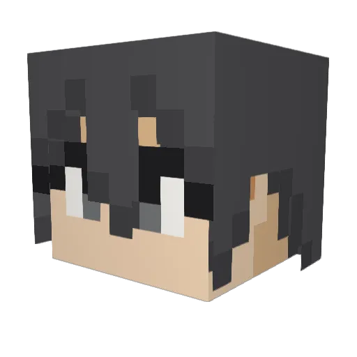 Shadow_cee Minecraft avatar head, 3D render