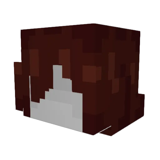 Shadow_coelho Minecraft avatar head, 3D render
