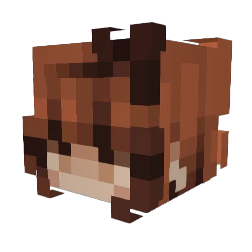 Shadow_ninja_1 Minecraft avatar head, 3D render