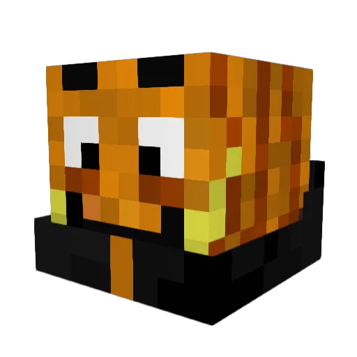 Shadowaffe Minecraft avatar head, 3D render