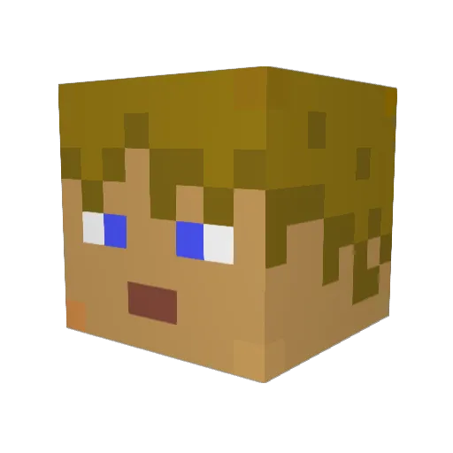 Shadowaki Minecraft avatar head, 3D render
