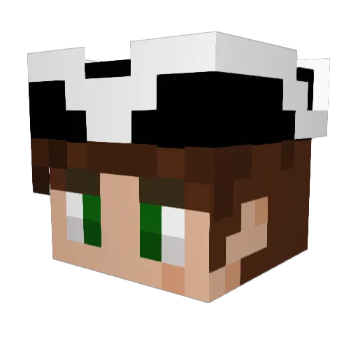 Shadowalpha67 Minecraft avatar head, 3D render