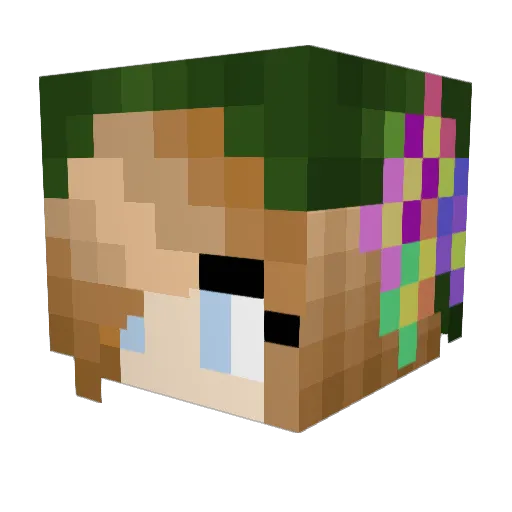 Shadowash91 Minecraft avatar head, 3D render